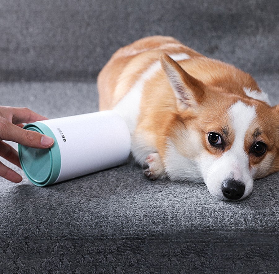 Limpador de Patas PetEase™ – Limpeza rápida para cães